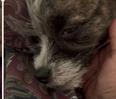 Kevin snuggled up close with his eyes half closed