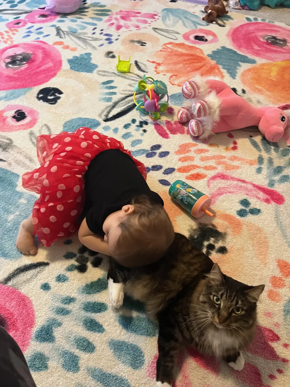 Oliver Mittens lying on a flowered rug next to a baby