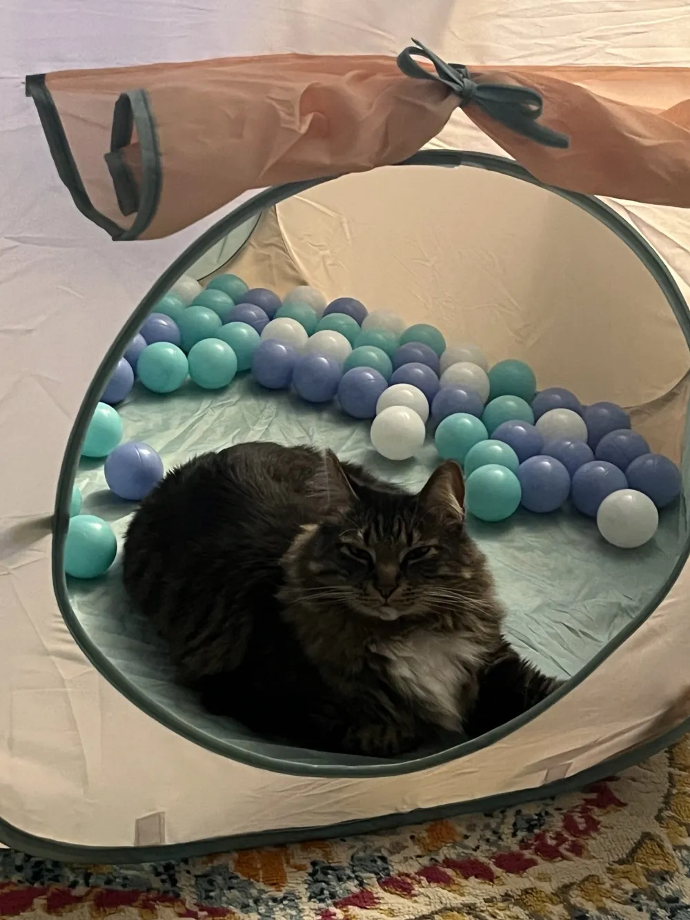 Oliver Mittens lying in a play tent full of plastic balls