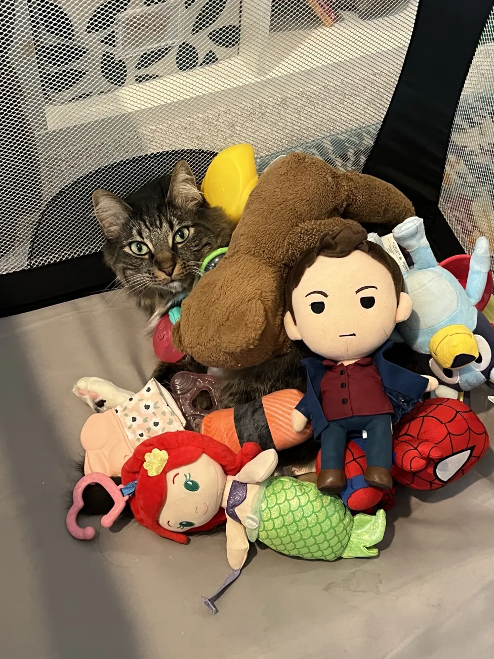 Oliver Mittens tucked in among a pile of stuffed toys